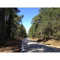 Picture France Corsica L'ospedale Forest 2012-09 45 - Price L'ospedale Forest