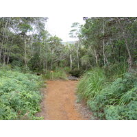 Picture New Caledonia Parc de la Riviere Bleue 2010-05 38 - Lands Parc de la Riviere Bleue