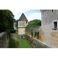 Picture France Losse castle 2010-08 6 - Spring Losse castle