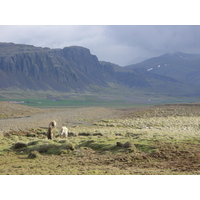 Picture Iceland road 36, 52 and 50 2003-06 7 - Room road 36, 52 and 50