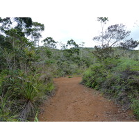 Picture New Caledonia Parc de la Riviere Bleue 2010-05 79 - Lands Parc de la Riviere Bleue