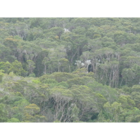 Picture New Caledonia Parc de la Riviere Bleue 2010-05 80 - Hotels Parc de la Riviere Bleue