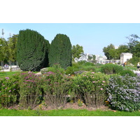 Picture France Paris Jardin des Plantes 2007-08 222 - Hot Season Jardin des Plantes