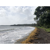 Picture Guadeloupe Viard Beach 2021-02 4 - Sauna Viard Beach