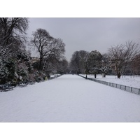 Picture France Paris Monceau Garden 2013-01 6 - Winter Monceau Garden