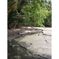 Picture Costa Rica Montezuma 2015-03 336 - Waterfalls Montezuma