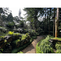 Picture Singapore Singapore Botanic Gardens 2023-01 89 - Waterfall Singapore Botanic Gardens