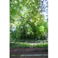 Picture France Paris Jardin des Plantes 2007-08 115 - Sunset Jardin des Plantes