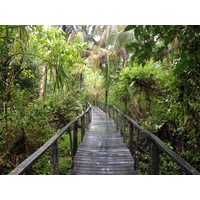 Picture Costa Rica Cahuita 2015-03 37 - Waterfall Cahuita