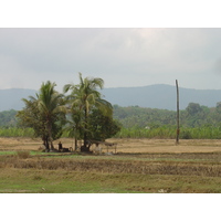 Picture Myanmar Road from Dawei to Maungmagan beach 2005-01 16 - City Sight Road from Dawei to Maungmagan beach