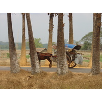 Picture Myanmar Road from Dawei to Maungmagan beach 2005-01 19 - Restaurants Road from Dawei to Maungmagan beach