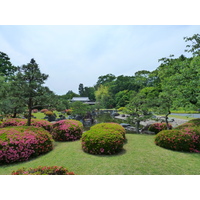 Picture Japan Kyoto Nijo Castle 2010-06 131 - Resorts Nijo Castle