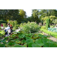 Picture France Paris Jardin des Plantes 2007-08 74 - Summer Jardin des Plantes