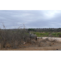 Picture South Africa Kruger National Park Sable River 2008-09 89 - Waterfalls Sable River