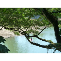 Picture Fiji Sigatoka river 2010-05 91 - Lands Sigatoka river