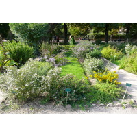 Picture France Paris Jardin des Plantes 2007-08 97 - Weather Jardin des Plantes