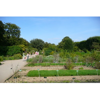 Picture France Paris Jardin des Plantes 2007-08 96 - Night Jardin des Plantes