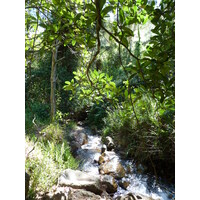 Picture New Caledonia Tontouta to Thio road 2010-05 131 - Lakes Tontouta to Thio road