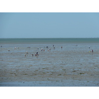 Picture France Noirmoutier 2010-07 32 - Transport Noirmoutier