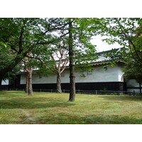 Picture Japan Kyoto Nijo Castle 2010-06 36 - Saving Nijo Castle