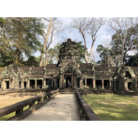 Picture Cambodia Siem Reap Ta Prohm 2023-01 48 - City Sights Ta Prohm