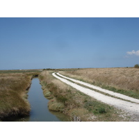 Picture France Vendee 2006-08 2 - Transport Vendee