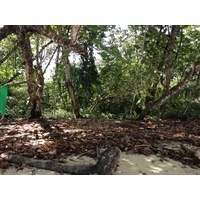 Picture Costa Rica Cahuita 2015-03 195 - Hotel Pools Cahuita