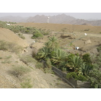 Picture Sultanate of Oman Buraimi to Sohar road 2005-03 18 - Resort Buraimi to Sohar road