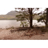 Picture United Kingdom Scotland Loch Maree 2011-07 8 - Saving Loch Maree