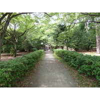 Picture Japan Kyoto Kyoto Gyoen Garden 2010-06 45 - Sunrise Kyoto Gyoen Garden