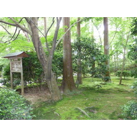 Picture Japan Kyoto Ryoanji Temple 2010-06 41 - Spring Ryoanji Temple