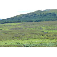 Picture United Kingdom Skye The Cullins 2011-07 34 - Hotels The Cullins