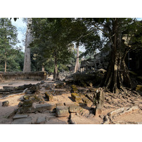 Picture Cambodia Siem Reap Ta Prohm 2023-01 122 - To see Ta Prohm