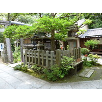 Picture Japan Kyoto Kyoto Gyoen Garden 2010-06 19 - Rental Kyoto Gyoen Garden