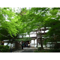 Picture Japan Kyoto Ryoanji Temple 2010-06 68 - Resorts Ryoanji Temple