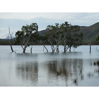 Picture New Caledonia Parc de la Riviere Bleue 2010-05 45 - Summer Parc de la Riviere Bleue