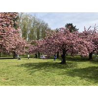 Picture France Parc de Sceaux 2019-04 10 - City Parc de Sceaux