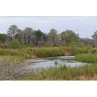 Picture South Africa Kruger National Park Sable River 2008-09 17 - City View Sable River