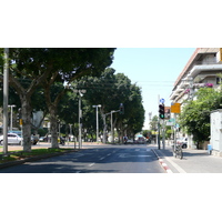 Picture Israel Tel Aviv Rothschild Street 2007-06 27 - Winter Rothschild Street