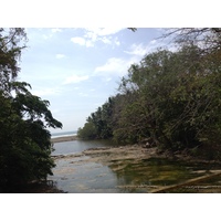 Picture Costa Rica Montezuma 2015-03 218 - Lake Montezuma