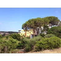 Picture Italy Sardinia Porto Cervo 2015-06 6 - Winter Porto Cervo