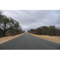 Picture South Africa Kruger National Park Sable River 2008-09 82 - Cheap Room Sable River