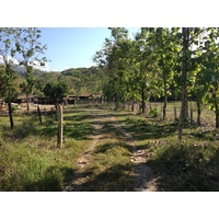 Picture Costa Rica Uvita 2015-03 1 - Room Uvita