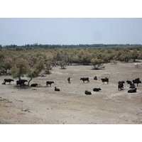 Picture France Camargue 2006-06 9 - Price Camargue