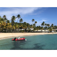 Picture Guadeloupe La Caravelle Beach 2021-02 157 - Cost La Caravelle Beach