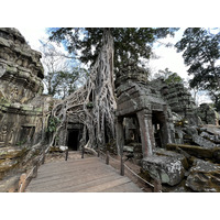 Picture Cambodia Siem Reap Ta Prohm 2023-01 155 - Restaurants Ta Prohm