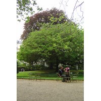 Picture France Paris Luxembourg Garden 2007-04 74 - Saving Luxembourg Garden