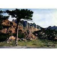 Picture France Corsica Old Postcards 1900-01 196 - Monument Old Postcards