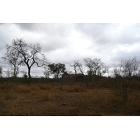 Picture South Africa Kruger National Park Crocodile River road 2008-09 16 - Cheap Room Crocodile River road