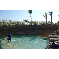 Picture United Arab Emirates Dubai Dubai Aquaventure 2009-01 46 - City View Dubai Aquaventure